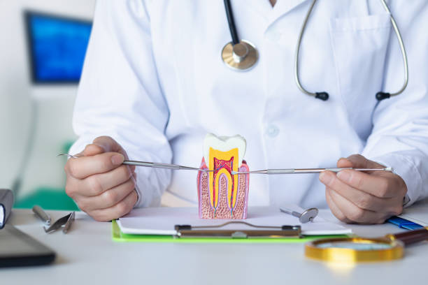 Best Broken or Cracked Tooth Emergency Dentist in York, PA